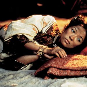 Bilder Tiger & Dragon