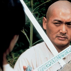 Bilder Tiger & Dragon