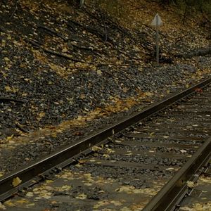 Bilder Slapface - Woher kommen Monster