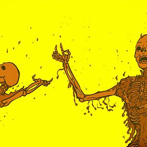 Bilder The Spine Of Night