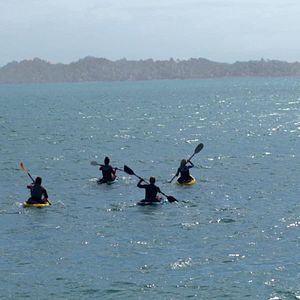 Bilder The Reef 2: Stalked