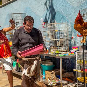 Bilder Vizinhos - Nachbarn