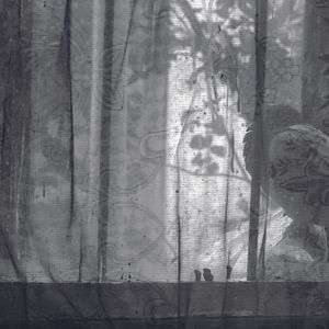 Bilder Licu, A Romanian Story