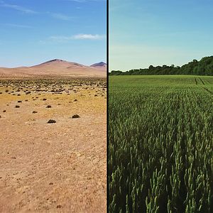 Bilder Kiss The Ground