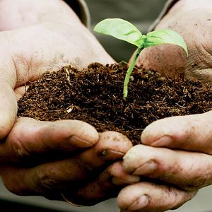 Bilder Kiss The Ground