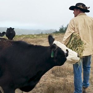 Bilder Kiss The Ground