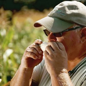 Bilder Kiss The Ground