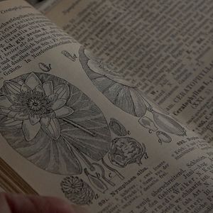 Bilder Verabredungen mit einem Dichter - Michael Krüger