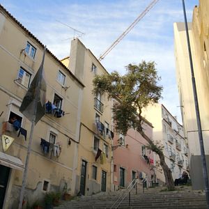 Bilder Fado - Die Stimmen von Lissabon