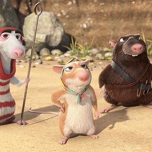 Bilder Maurice, der Kater