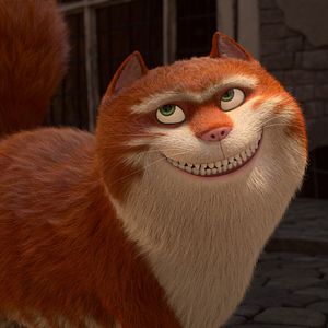 Bilder Maurice, der Kater