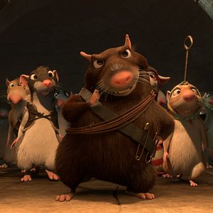 Bilder Maurice, der Kater