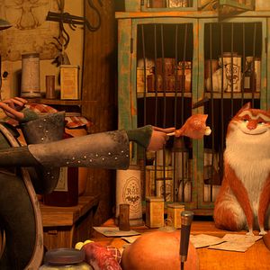 Bilder Maurice, der Kater