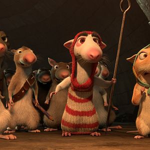 Bilder Maurice, der Kater