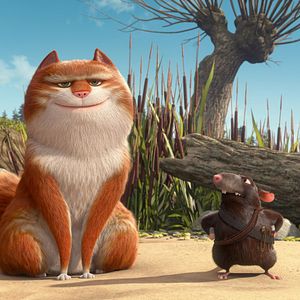 Bilder Maurice, der Kater