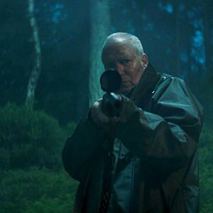 Bilder August Zirner