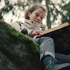 Bilder Schweigend steht der Wald