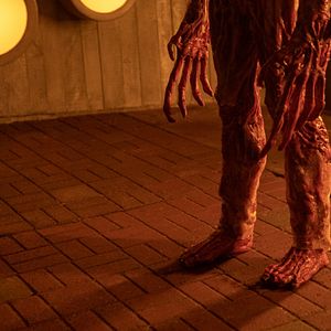 Bilder Guillermo del Toro's Cabinet of Curiosities