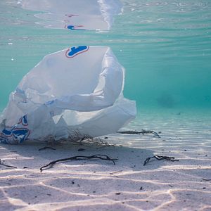 Bilder The North Drift - Plastik in Strömen