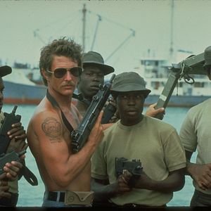 Bilder Die Hunde des Krieges