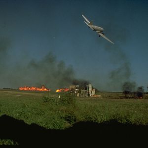 Bilder Die Hunde des Krieges