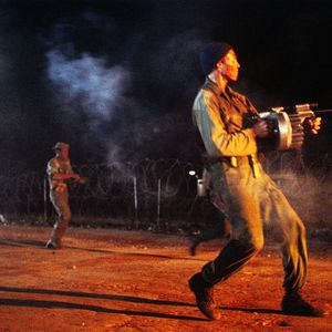 Bilder Die Hunde des Krieges