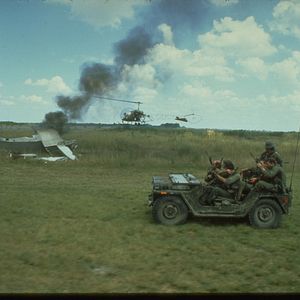 Bilder Die Hunde des Krieges