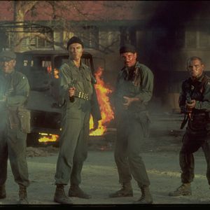 Bilder Die Hunde des Krieges