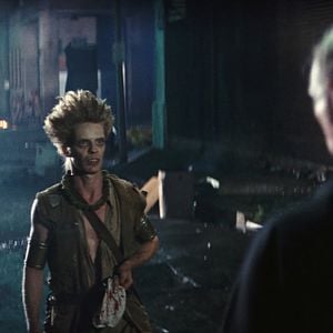 Bilder Die Klapperschlange