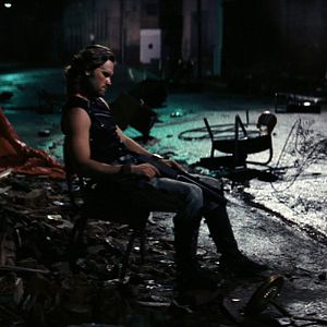 Bilder Die Klapperschlange