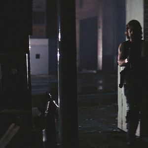 Bilder Die Klapperschlange