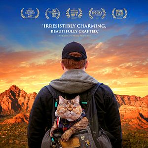 Bilder Cat Daddies - Freunde für sieben Leben