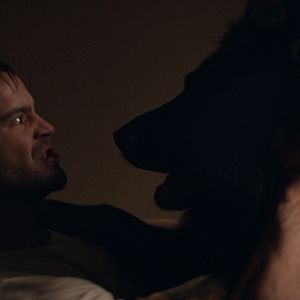 Bilder Achille Reggiani