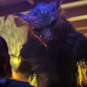 Bilder A Werewolf in England