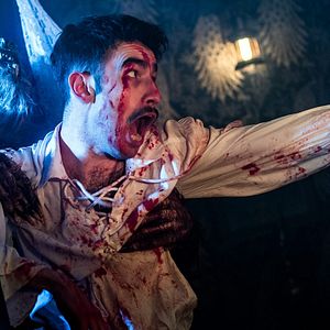 Bilder A Werewolf in England