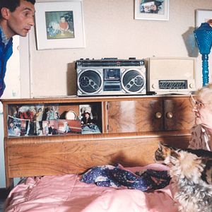 Bilder ... und jeder sucht sein Kätzchen