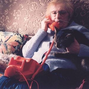 Bilder ... und jeder sucht sein Kätzchen