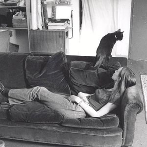 Bilder ... und jeder sucht sein Kätzchen