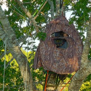 Bilder Epic Adventures with Bertie Gregory