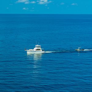 Bilder Epic Adventures with Bertie Gregory