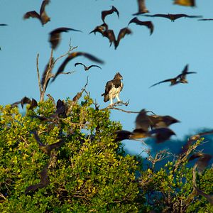 Bilder Epic Adventures with Bertie Gregory