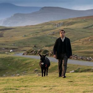 Bilder The Banshees Of Inisherin