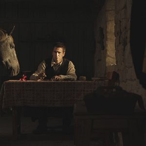 Bilder The Banshees Of Inisherin