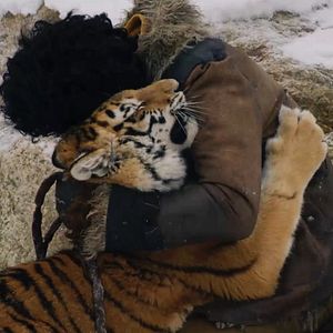 Bilder Die Legende vom Tigernest