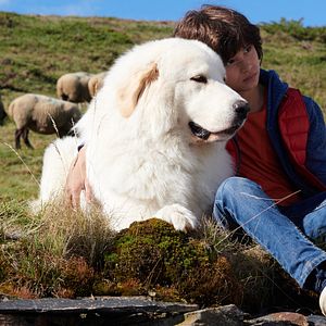 Bilder Robinson Mensah-Rouanet