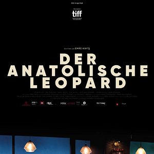 Bilder Der anatolische Leopard