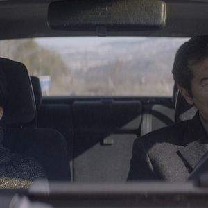 Bilder Der anatolische Leopard