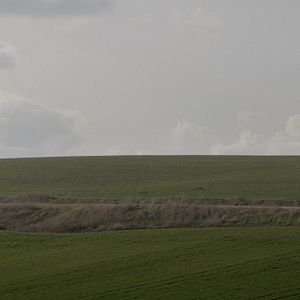 Bilder Der anatolische Leopard