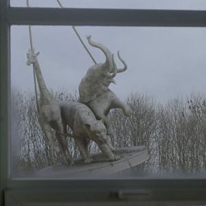 Bilder Der anatolische Leopard