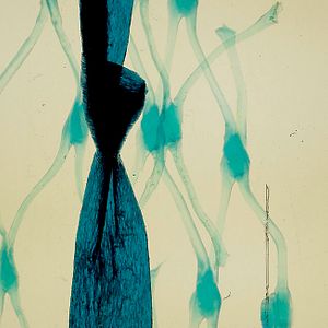 Bilder Geographies Of Solitude